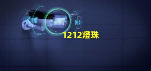 1212燈珠