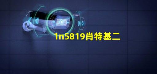 1n5819肖特基二極管高效能與熱穩(wěn)定性的完美結(jié)合