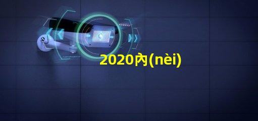 2020內(nèi)置燈珠