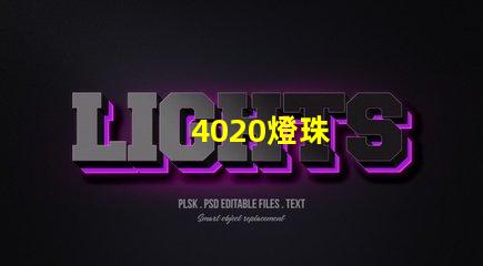 4020燈珠