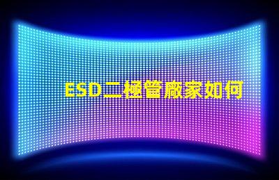 ESD二極管廠家如何選擇可靠的ESD二極管供應(yīng)商
