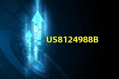 US8124988B2專利權(quán)利爭議解決專利糾紛處理指南