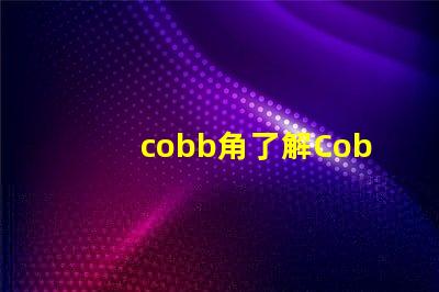 cobb角了解Cobb角的重要性及其應(yīng)用