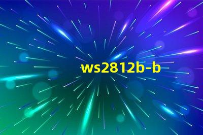 ws2812b-b