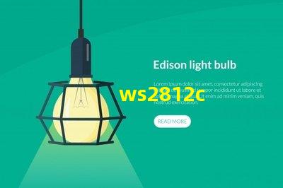 ws2812c