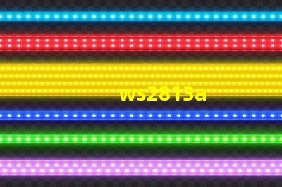 ws2813a