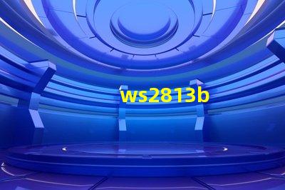ws2813b
