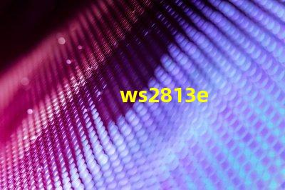 ws2813e
