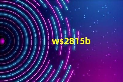 ws2815b