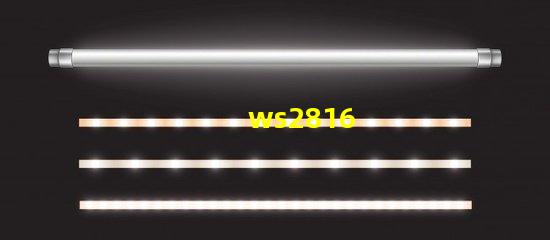 ws2816