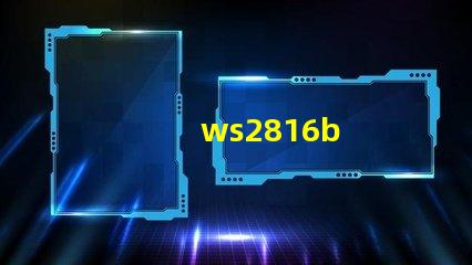 ws2816b