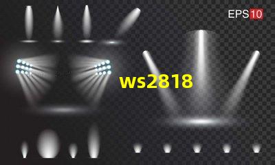 ws2818