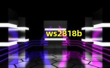 ws2818b