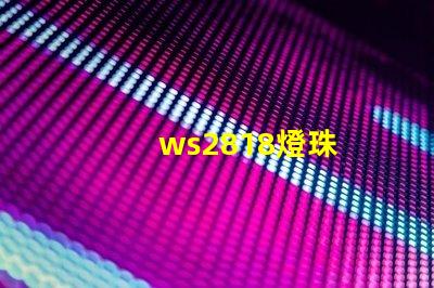 ws2818燈珠