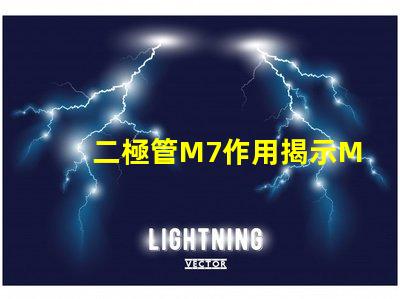 二極管M7作用揭示M7二極管在電路中的關鍵角色