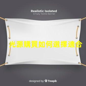 光源購買如何選擇適合您需求的高效光源