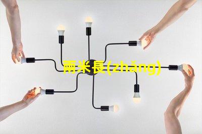 兩米長(zhǎng)的吊燈理想空間照明解決方案