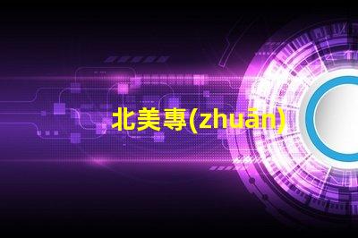 北美專(zhuān)利授權(quán)3210燈珠us8124988b2核心技術(shù)解析
