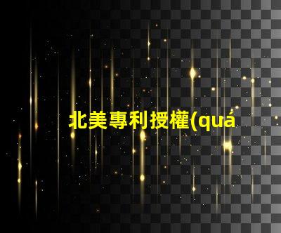 北美專利授權(quán)3030燈珠專利號US8124988B2解析—這款LED燈珠為何備受青睞