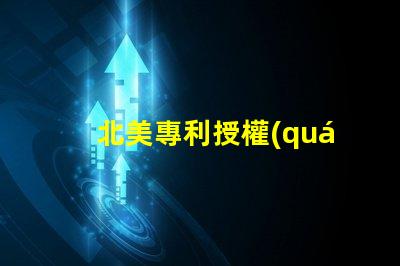 北美專利授權(quán)4018燈珠us8124988b2核心技術(shù)揭秘
