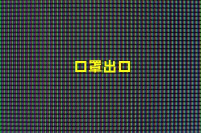 口罩出口