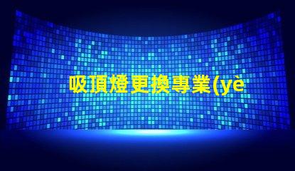 吸頂燈更換專業(yè)指導(dǎo)與常見問題解答