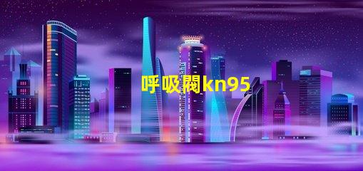 呼吸閥kn95