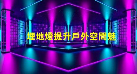 埋地燈提升戶外空間魅力的照明解決方案