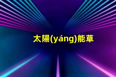 太陽(yáng)能草坪燈廠家行業(yè)領(lǐng)先的太陽(yáng)能燈具供應(yīng)商