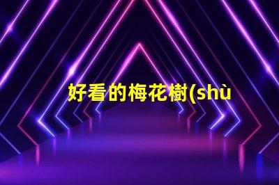 好看的梅花樹(shù)提升園藝美感的絕佳選擇