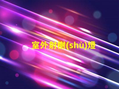 室外射樹(shù)燈提升夜間景觀效果的秘密武器