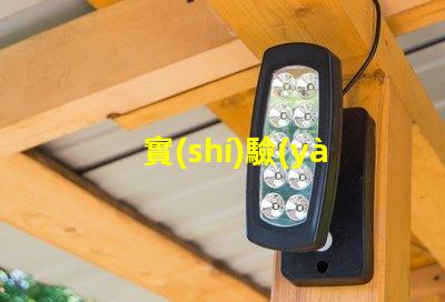 實(shí)驗(yàn)室紫外燈如何選擇高效紫外燈以提高實(shí)驗(yàn)準(zhǔn)確性