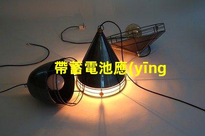 帶蓄電池應(yīng)急筒燈探索照明安全的新選擇