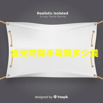 強光防爆手電筒多少錢市場價格與性能對比解析