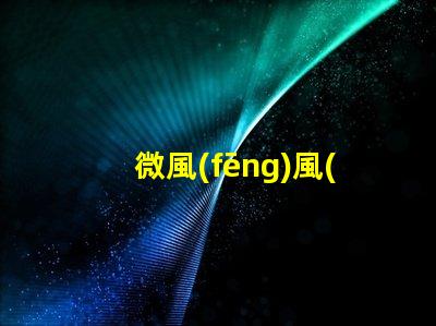 微風(fēng)風(fēng)光互補(bǔ)路燈節(jié)能與環(huán)保的雙重解決方案