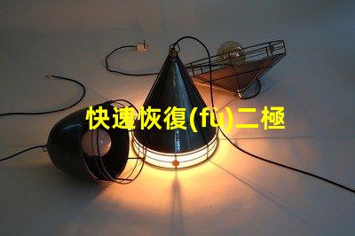 快速恢復(fù)二極管提升電力轉(zhuǎn)換效率的關(guān)鍵組件