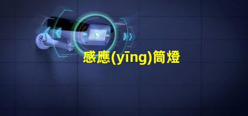 感應(yīng)筒燈廠家探索最新的感應(yīng)筒燈制造技術(shù)