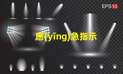 應(yīng)急指示標(biāo)志燈確保安全的關(guān)鍵亮點(diǎn)
