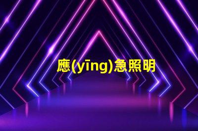 應(yīng)急照明分配電裝置保障安全的關(guān)鍵解決方案
