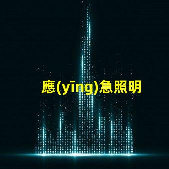 應(yīng)急照明及疏散指示系統(tǒng)如何提高安全性與效率的關(guān)鍵設(shè)施