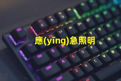 應(yīng)急照明和疏散指示提升安全性的重要設(shè)施解析