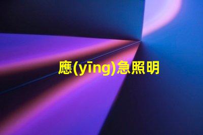 應(yīng)急照明和疏散指示系統(tǒng)確保安全撤離的關(guān)鍵技術(shù)解析