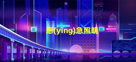 應(yīng)急照明如何提升安全性與可靠性應(yīng)急照明解決方案解析