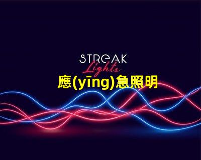 應(yīng)急照明指示燈提升安全性的必備設(shè)備