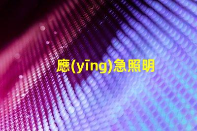 應(yīng)急照明燈和疏散指示燈緊急情況下的安全指引解決方案
