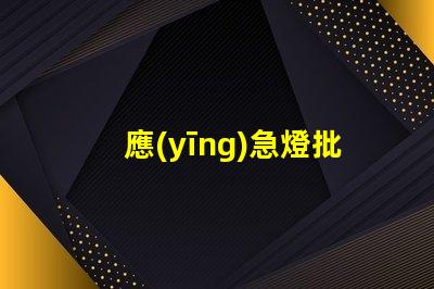 應(yīng)急燈批發(fā)高效供應(yīng)鏈助力企業(yè)節(jié)省成本