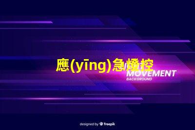 應(yīng)急燈控制提高安全性和可靠性的最佳方案