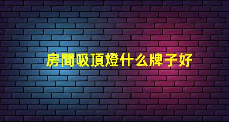 房間吸頂燈什么牌子好優(yōu)質(zhì)吸頂燈品牌推薦與評測