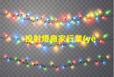 投射燈廠家行業(yè)領(lǐng)先品牌與產(chǎn)品選擇指南