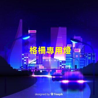 格柵專用燈